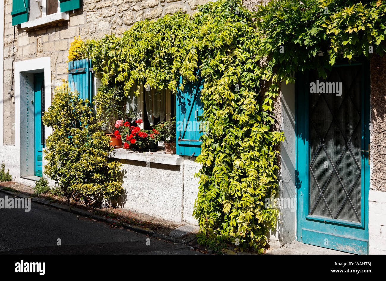 La fenêtre de la chambre verte, vignes entourant,volets et portes bleus, façade en pierre, plantes en pot, de la fenêtre, l'Europe, Conflans ; France ; été ; horizontal Banque D'Images