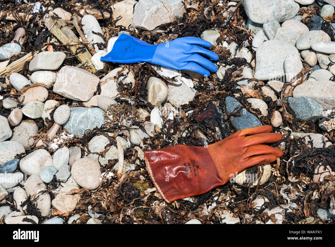 Gants en caoutchouc échoués sur la ligne de marée de Harvey's Beach, Isle au Haut, Maine. Banque D'Images