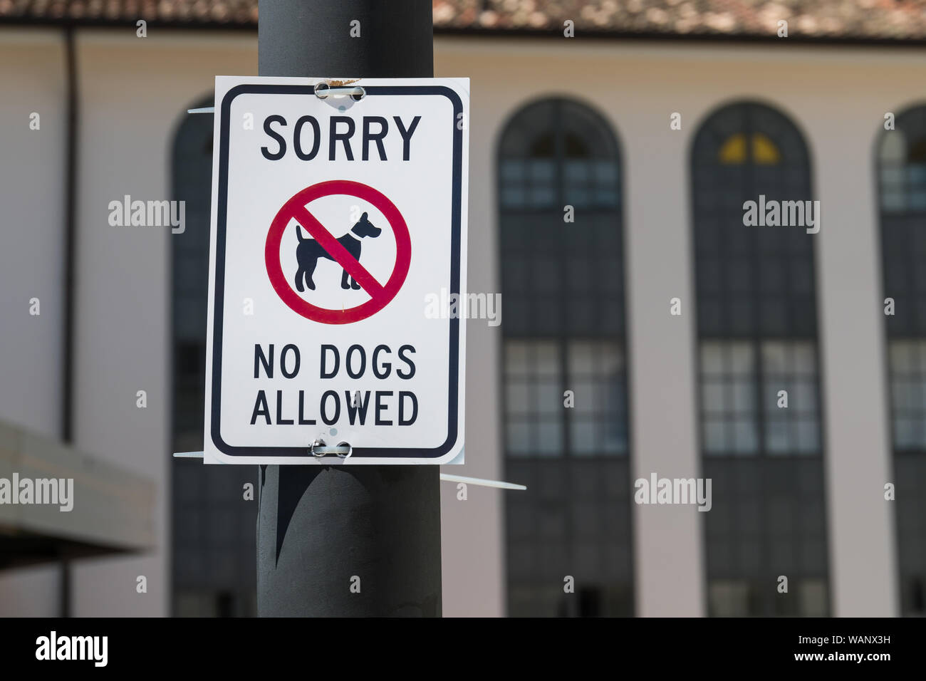 Désolé pas de chiens sign Banque D'Images