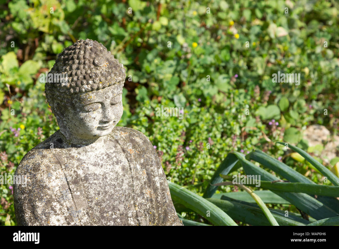 Bouddha en pierre d'ornement de jardin Banque D'Images