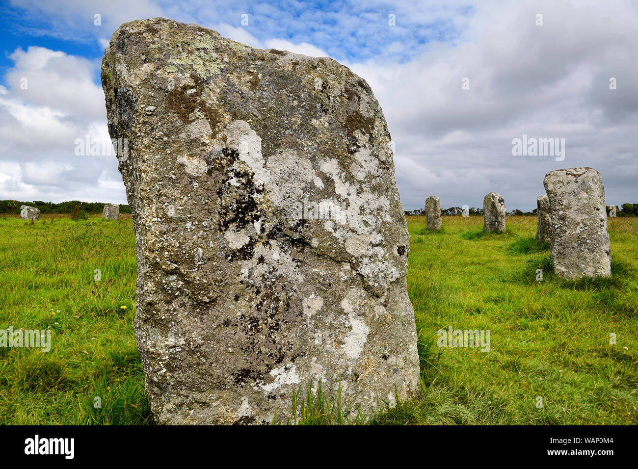 Close up d'un des mégalithes de granit 19 Merry Maidens de Boleigh cercle de pierres néolithiques Angleterre Cornwall Banque D'Images