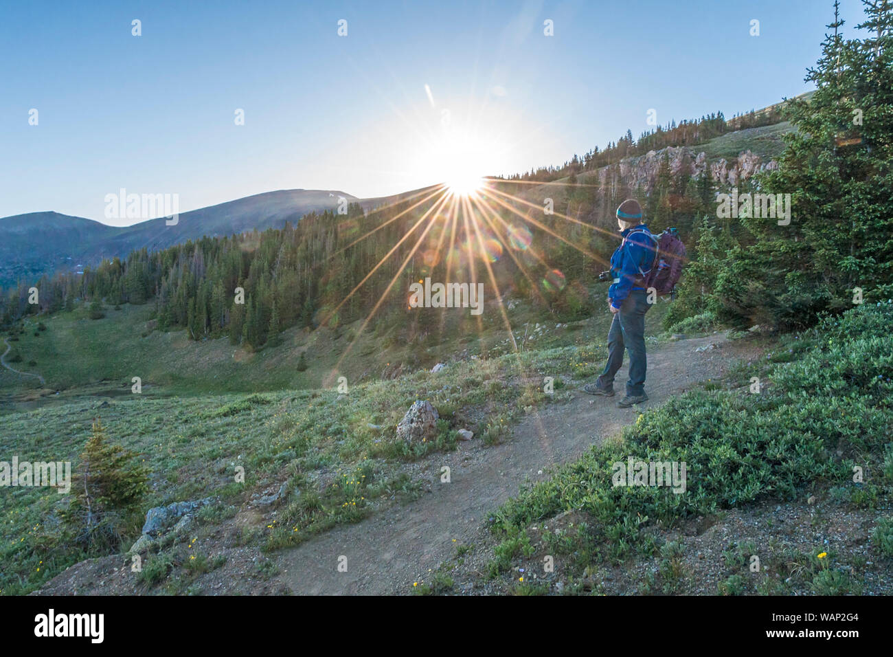 Un female hiker arrête le long du sentier pour monter Chapin à prendre au lever du soleil dans le Parc National des Montagnes Rocheuses, au Colorado. Banque D'Images