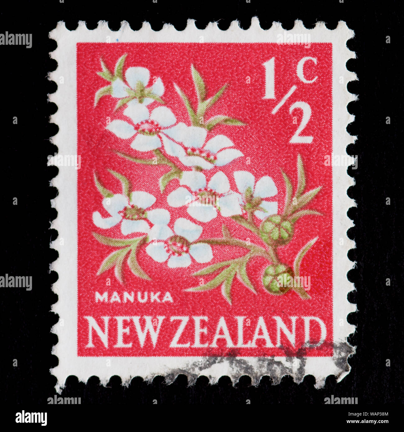 Nouvelle Zélande - Timbre-poste (Manuka Leptospermum scoparium) Banque D'Images