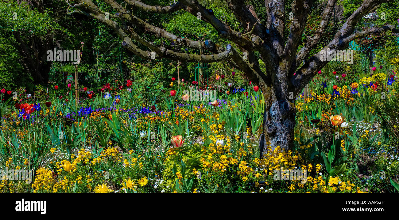 Le jardin de Monet, Giverny, France Banque D'Images