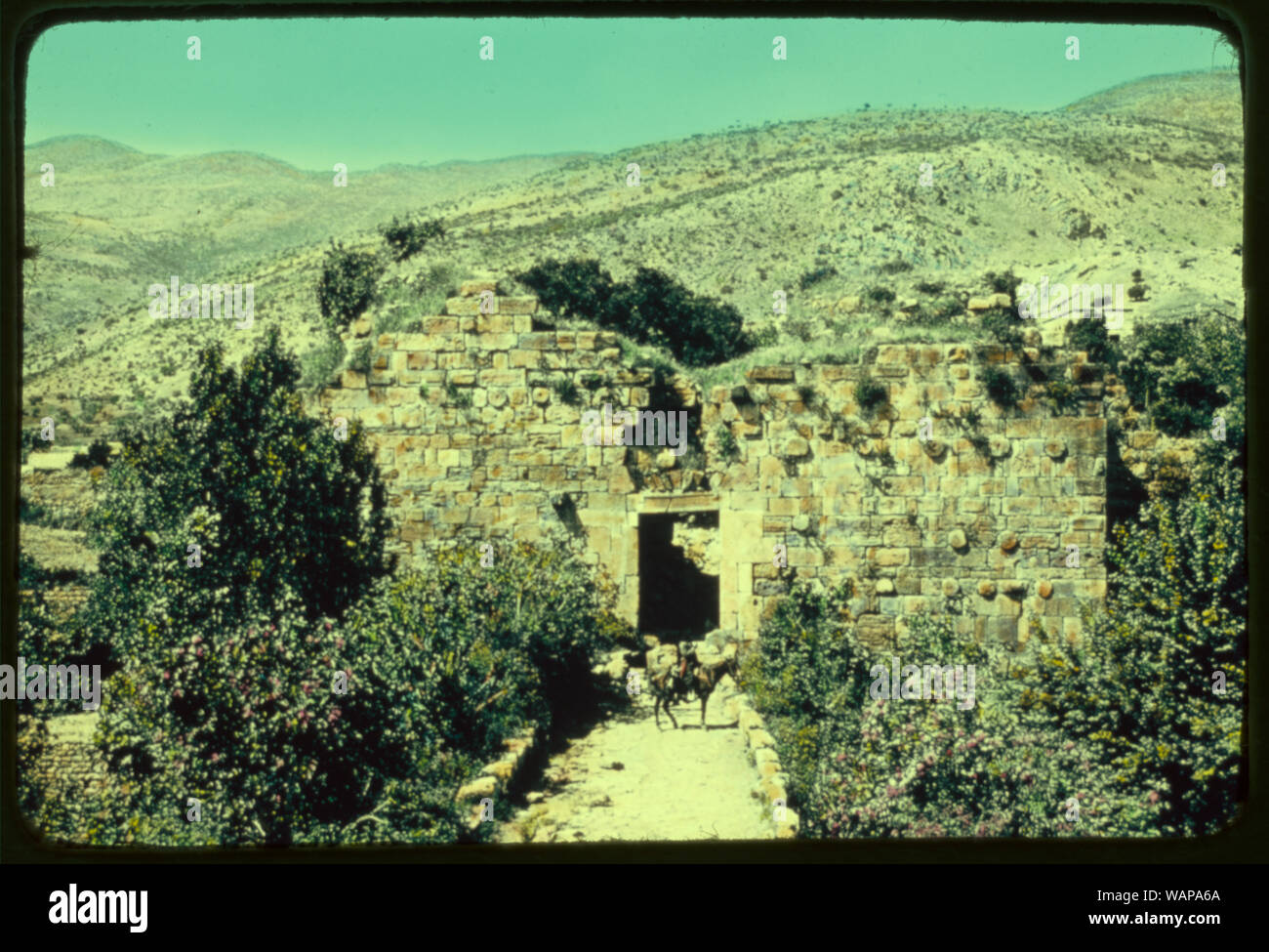 Damas, Palmyre et Baalbek. Banias, le pont romain Banque D'Images