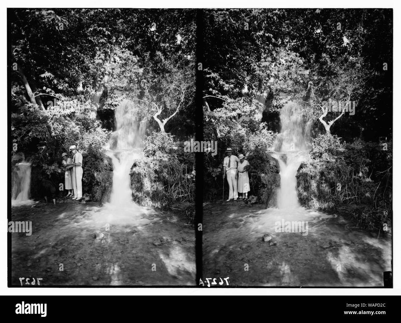 Daphné. Les chutes Banque D'Images