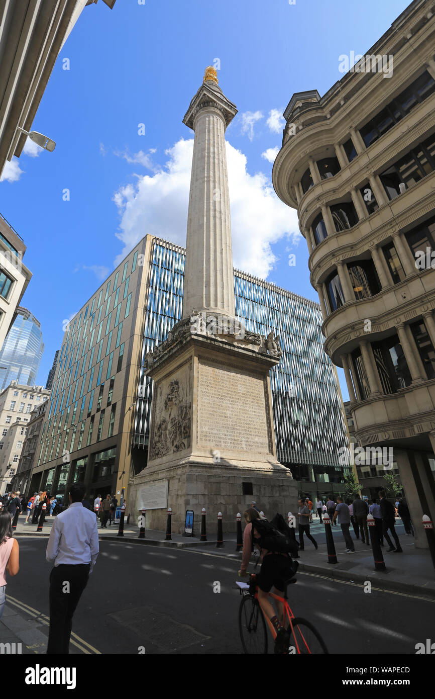 Le monument au grand incendie de Londres, une colonne dorique avec une plate-forme d'observation en haut, dans la ville de London, UK Banque D'Images