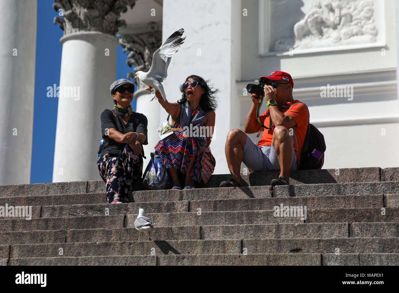 Les touristes sur l'alimentation des Goélands étapes Cathédrale d'Helsinki à Helsinki, Finlande Banque D'Images
