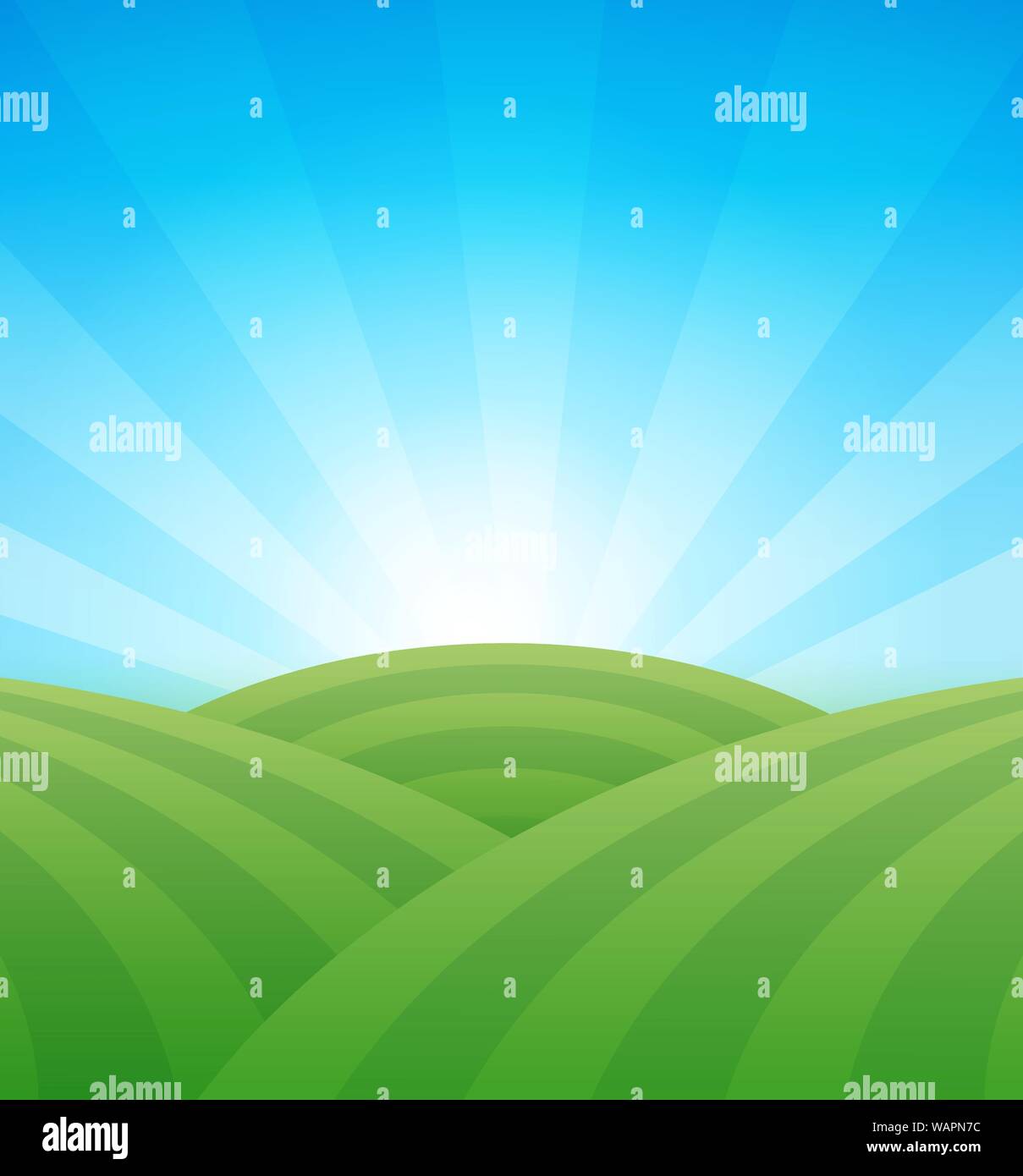 Ferme des champs verts avec des collines sous clair bleu ciel d'été - vector illustration colorée de l'agriculture. Paysage rural avec l'exemplaire de l'espace. Illustration de Vecteur