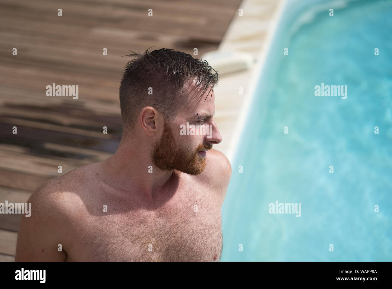 Une barbe rouge jeune modèle masculin portrait Banque D'Images