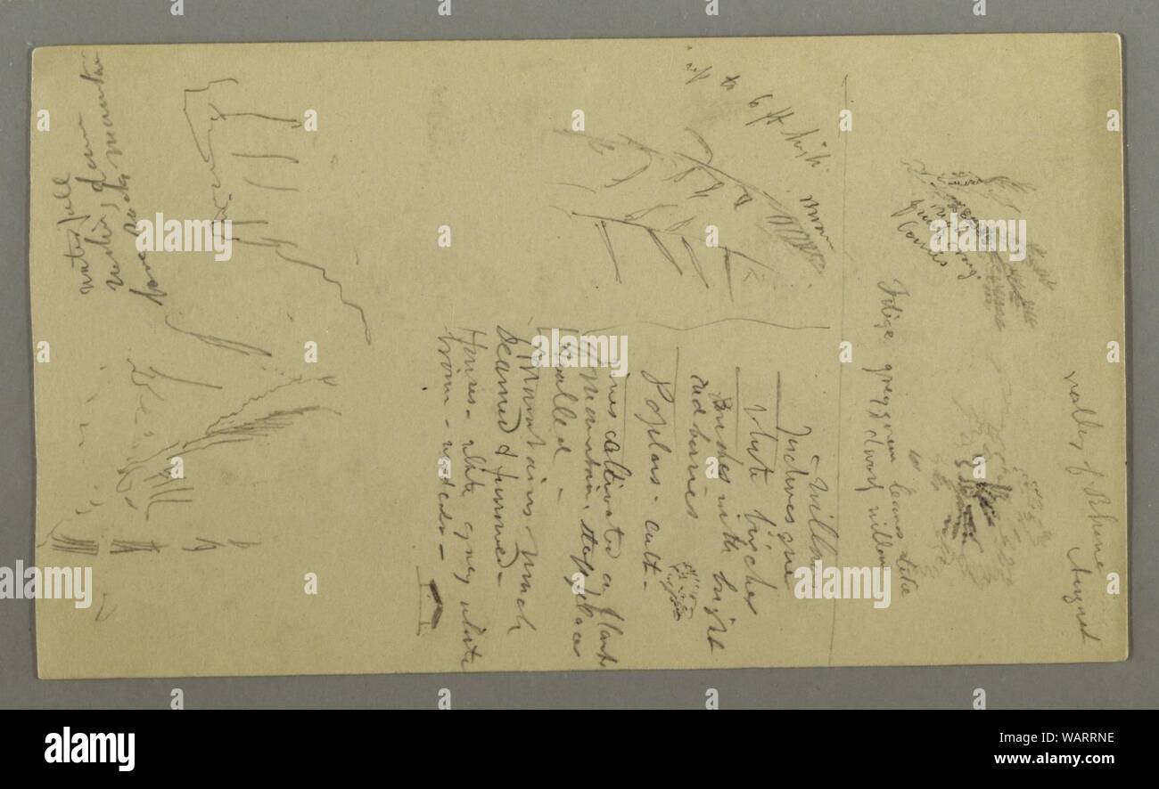 Le dessin, d'études de l'usine, Plant-Notes, Cascade, 1868 Banque D'Images