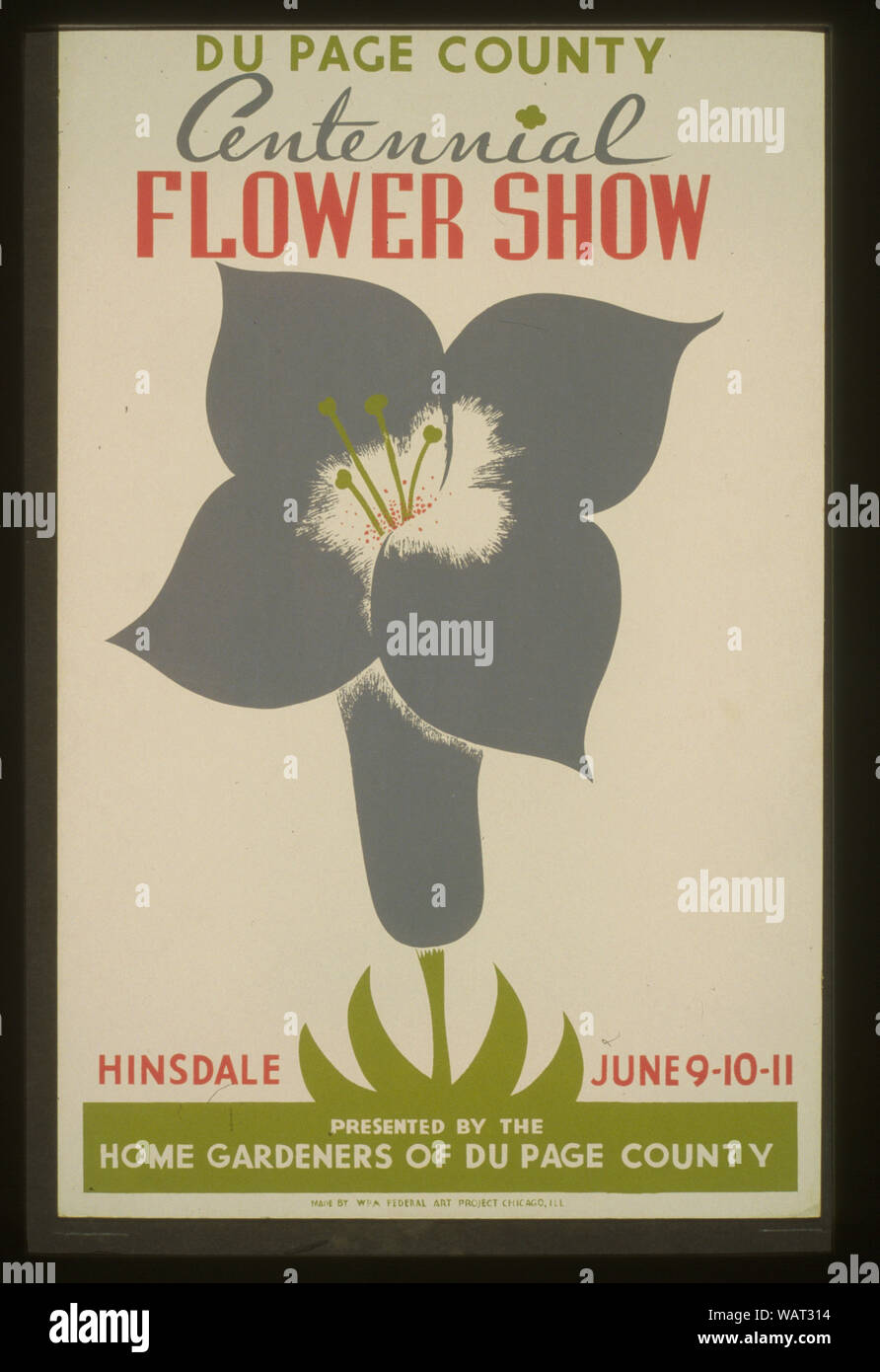 Page Comté du Centennial Flower show Résumé : Affiche montrant une fleur. Banque D'Images