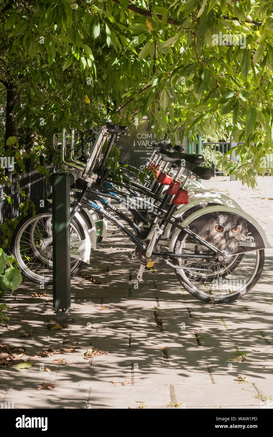 STOCKHOLM, Suède - le 21 août 2017 : Des Vélos à louer. Rangée de vélos à la point de location Banque D'Images
