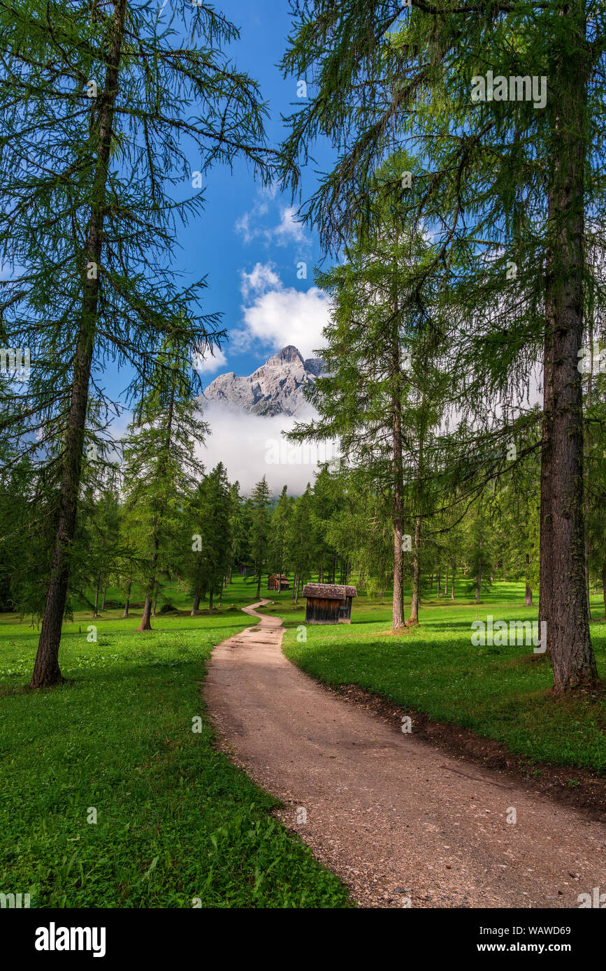 Chemin forestier dans les Dolomites, Fischleintal. Banque D'Images