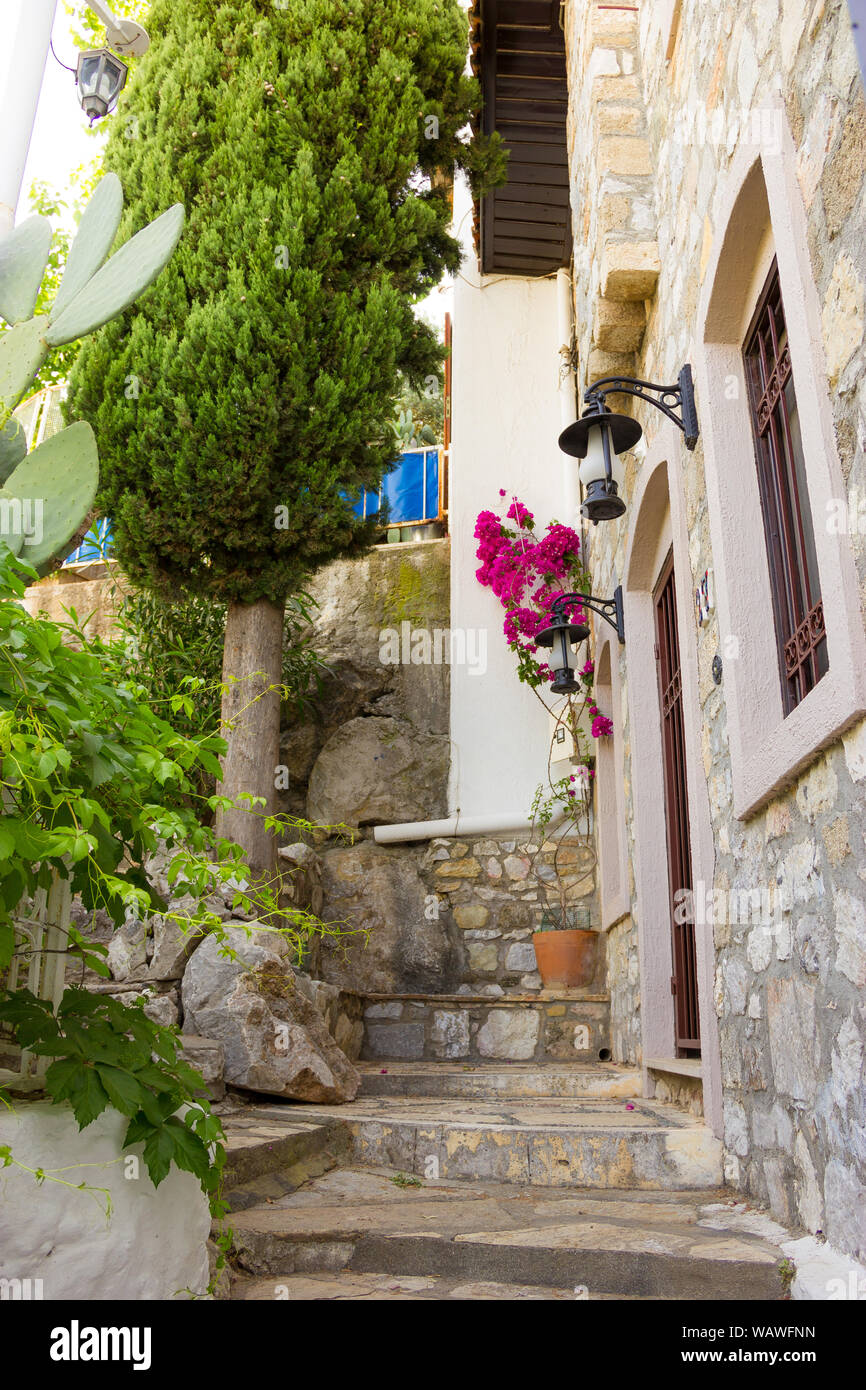 Marmaris Turquie ville vieille rue bougainvilliers en fleurs Banque D'Images