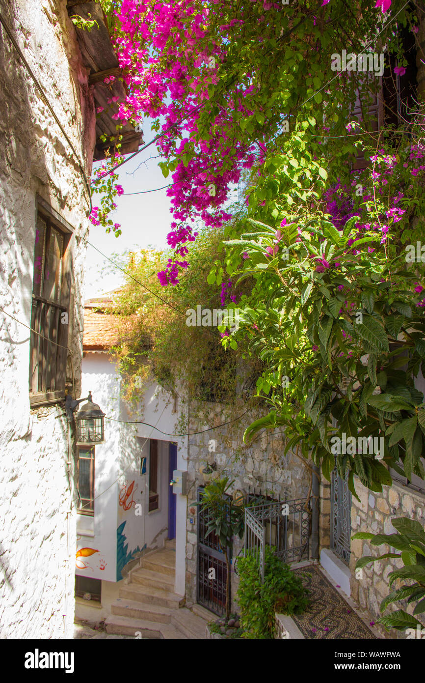 Marmaris Turquie ville vieille rue bougainvilliers en fleurs Banque D'Images