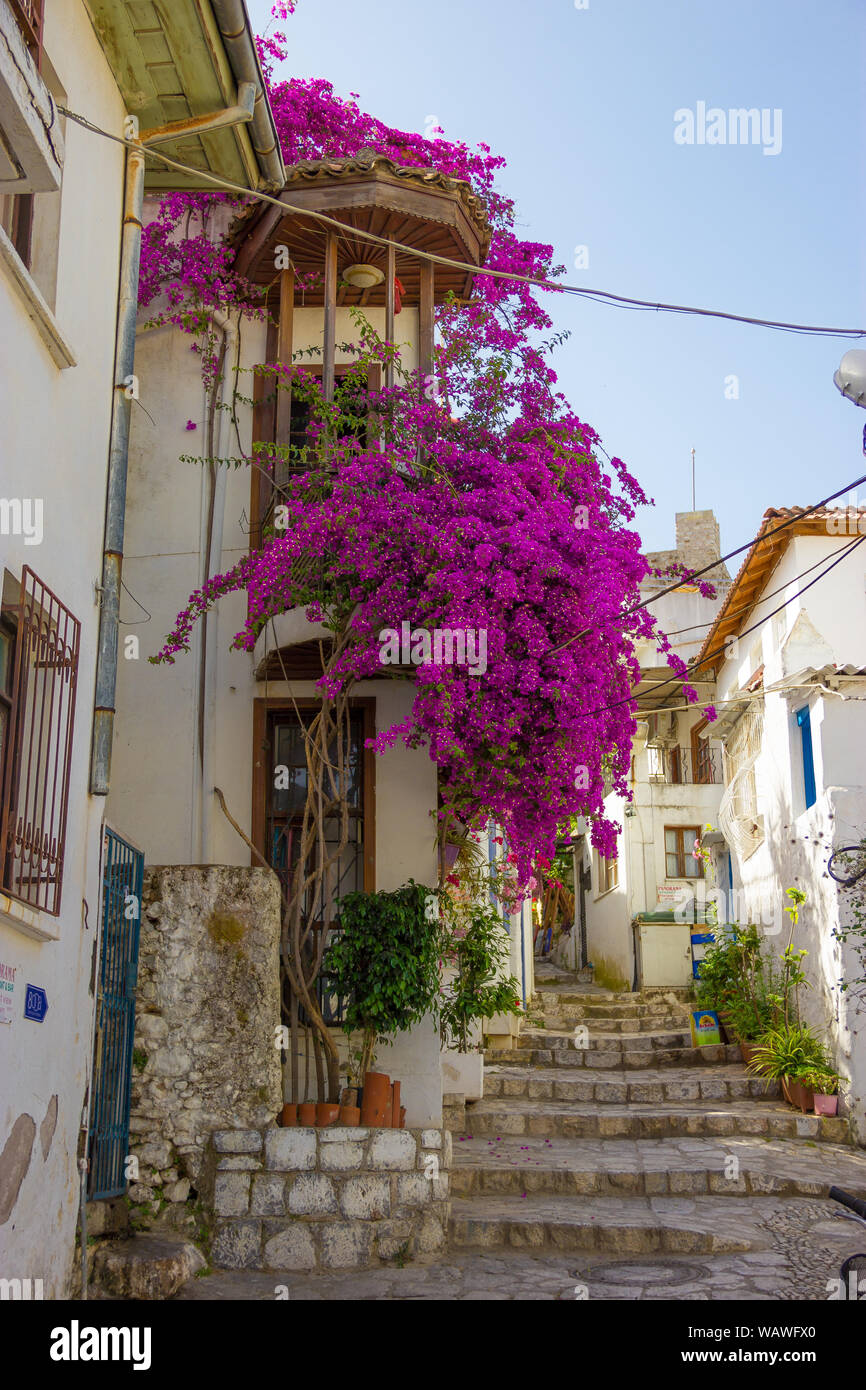 Marmaris Turquie ville vieille rue bougainvilliers en fleurs Banque D'Images