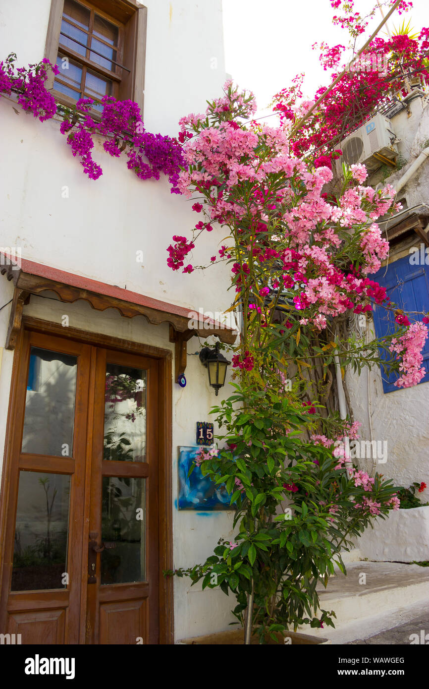 Marmaris Turquie ville vieille rue bougainvilliers en fleurs Banque D'Images