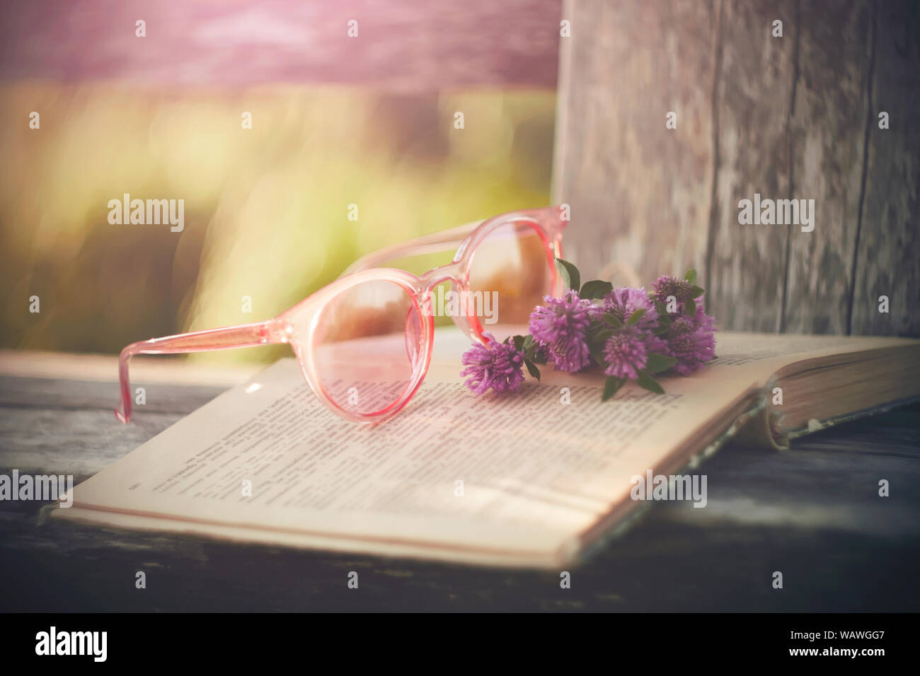 Lunettes roses s'allonger sur un banc avec un vieux livre ouvert et un bouquet de fleurs de trèfle rose, éclairé par la lumière du soleil sur une journée d'été. Banque D'Images