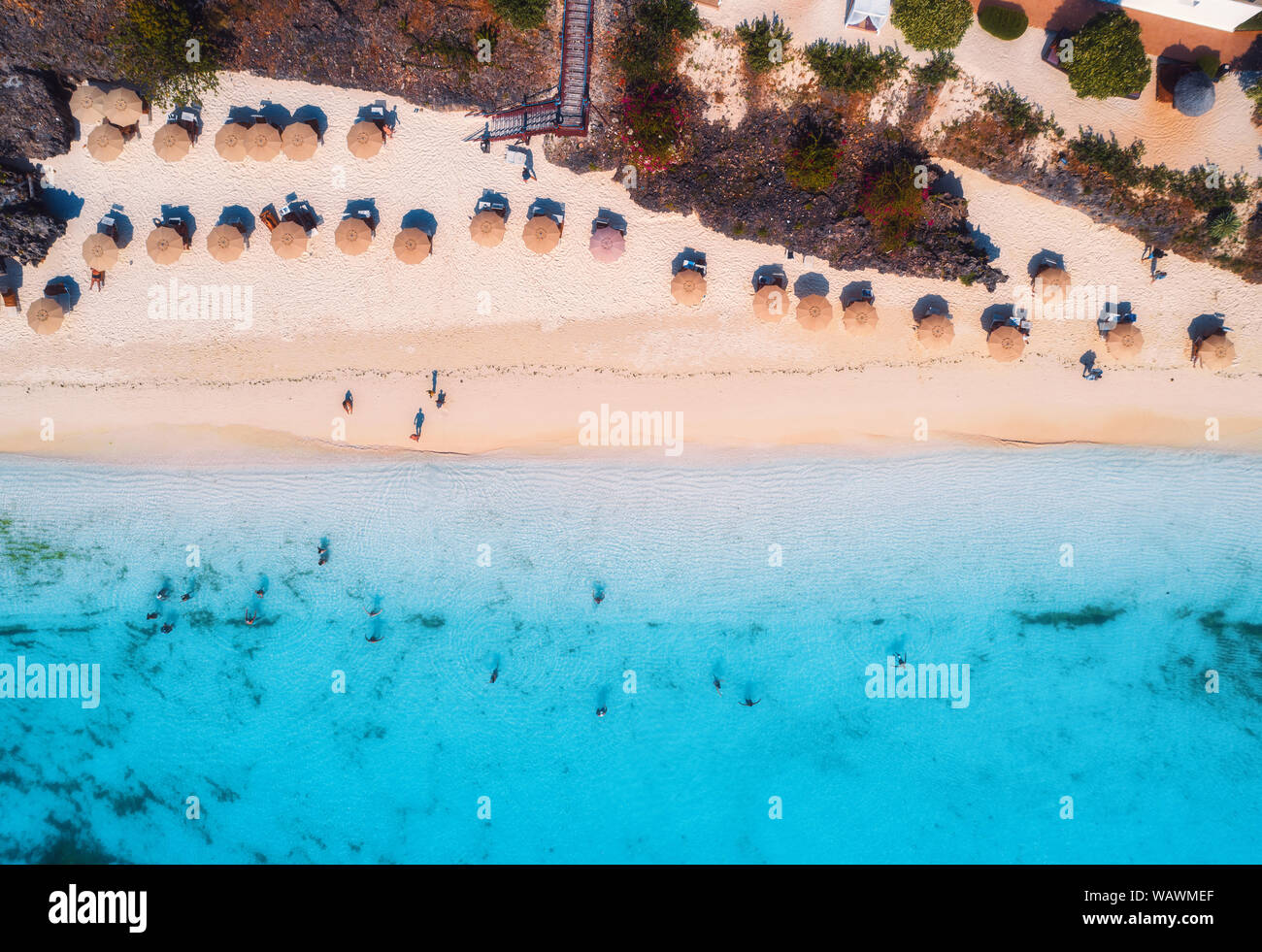 Vue aérienne de parapluies, des arbres sur la plage de sable au coucher du soleil Banque D'Images