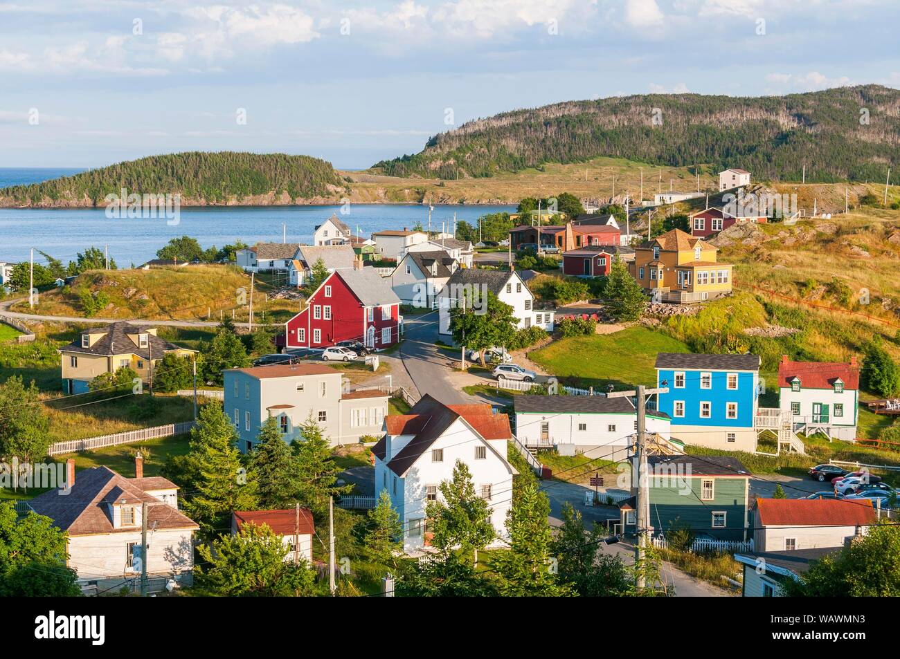 Maisons en bois coloré, Trinity, Trinity Bay, Terre-Neuve et Labrador, Canada Banque D'Images