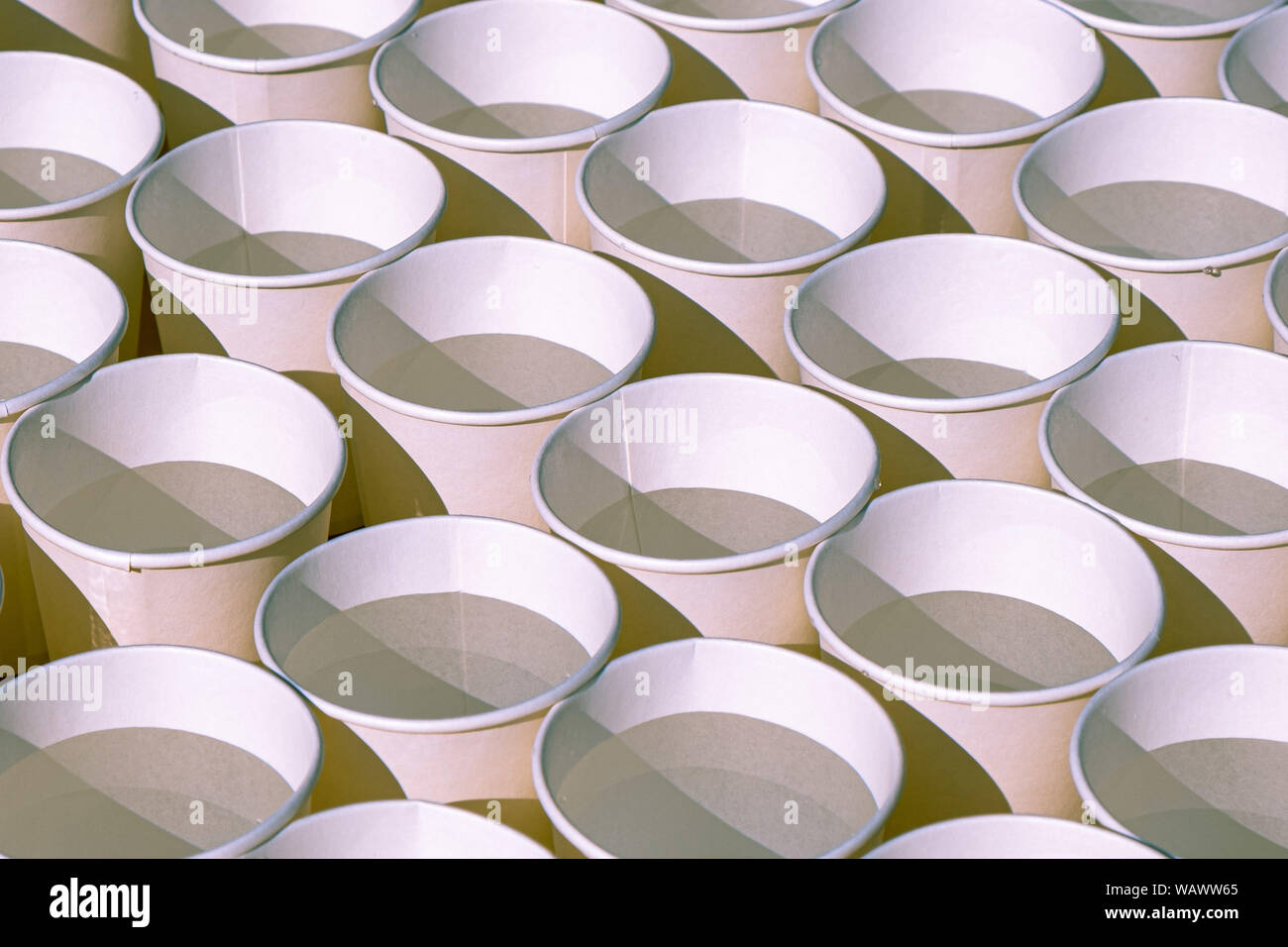 Rangées de tasses jetables rempli d'eau avec lumière et ombre Banque D'Images