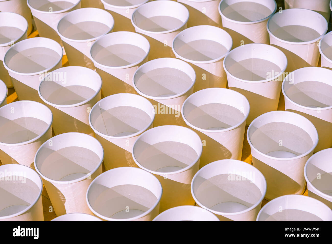 Motif de rangées de tasses jetables rempli d'eau Banque D'Images