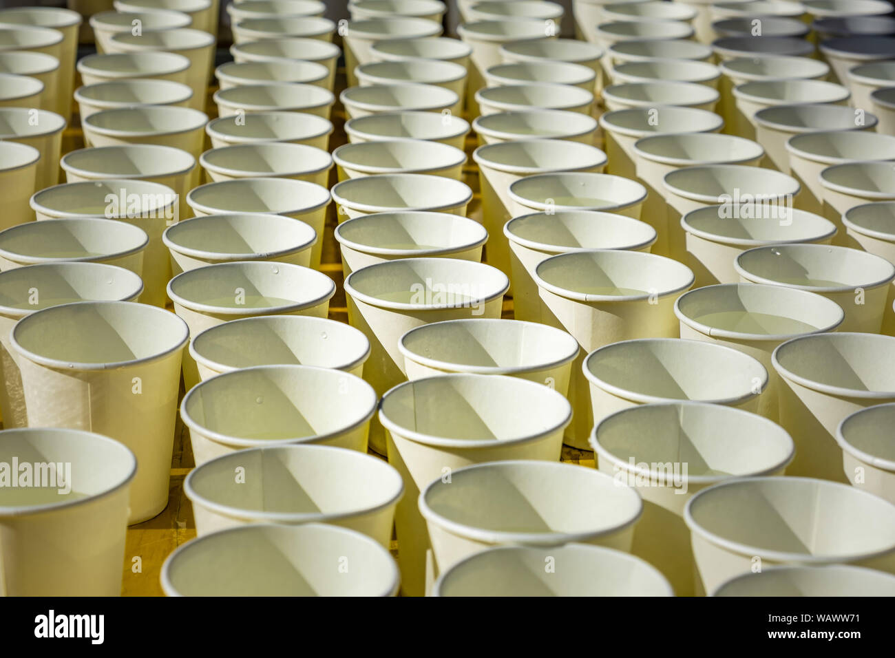 De longues rangées de tasses blanc avec de l'eau en perspective pattern Banque D'Images