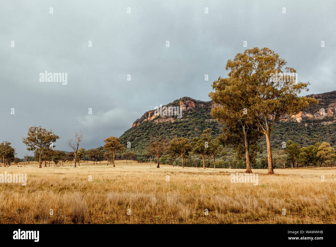 Les plaines herbeuses soutenu par bush naturel du terrain et d'une crête de grès dans la vallée Capertee, NSW, Australie Banque D'Images