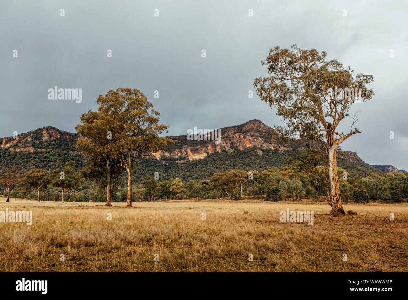 Les plaines herbeuses soutenu par bush naturel du terrain et d'une crête de grès dans la vallée Capertee, NSW, Australie Banque D'Images