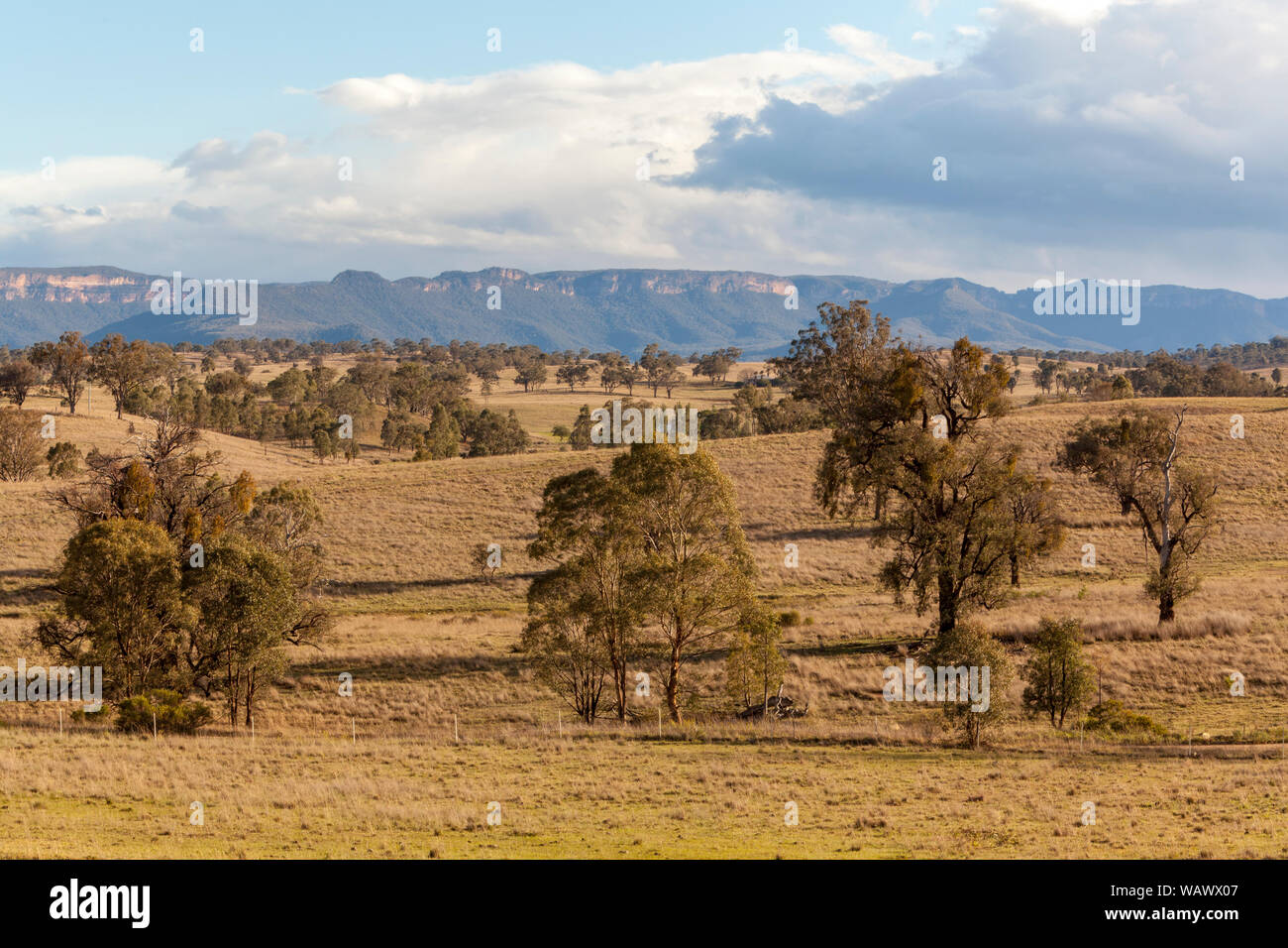 Les plaines herbeuses vallonnées, soutenue par les crêtes de grès, dans la vallée de Capertee, NSW, Australie Banque D'Images