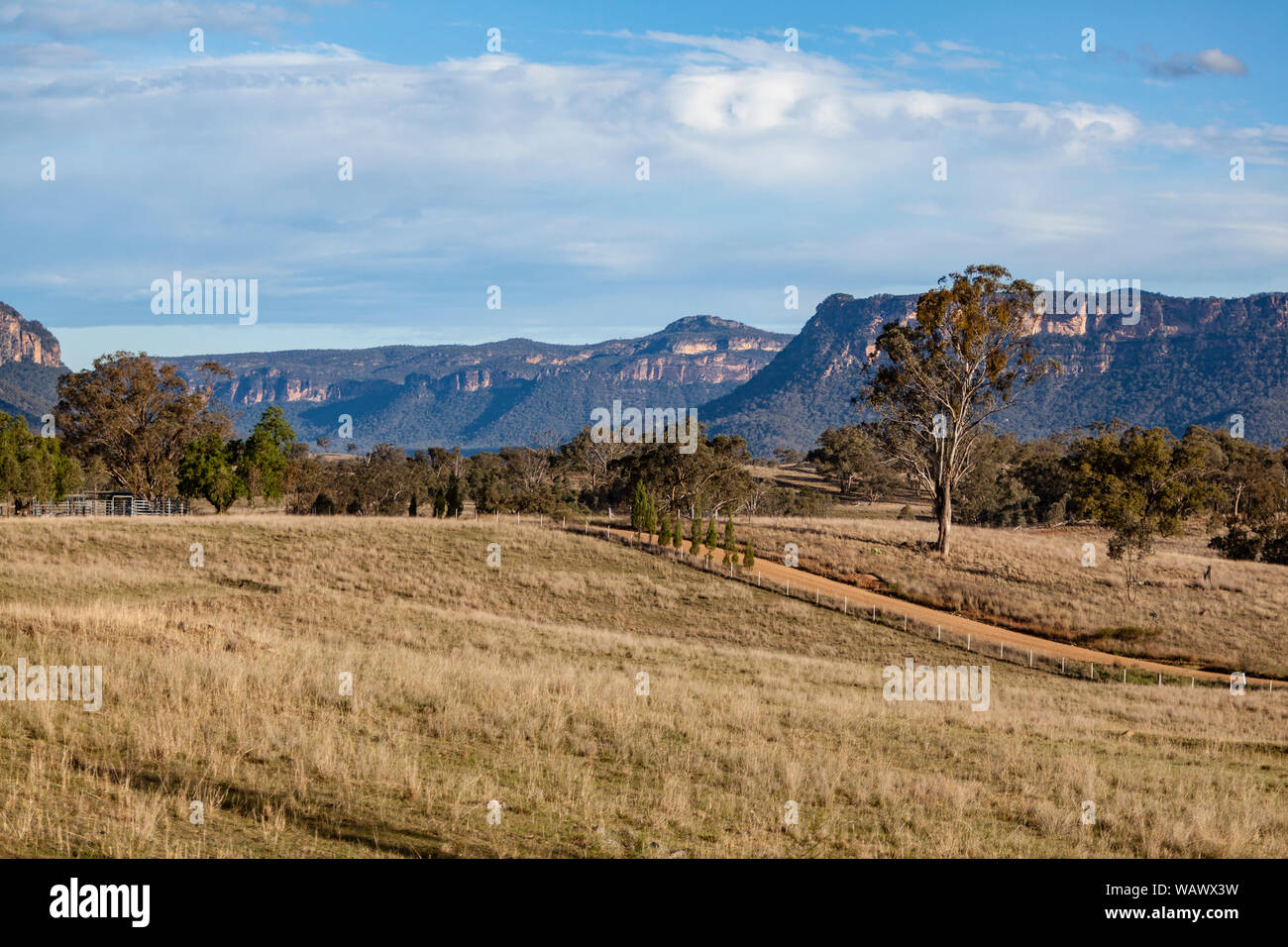 Les plaines herbeuses soutenu par le bush naturel robuste et crêtes de grès dans la vallée Capertee, NSW, Australie Banque D'Images