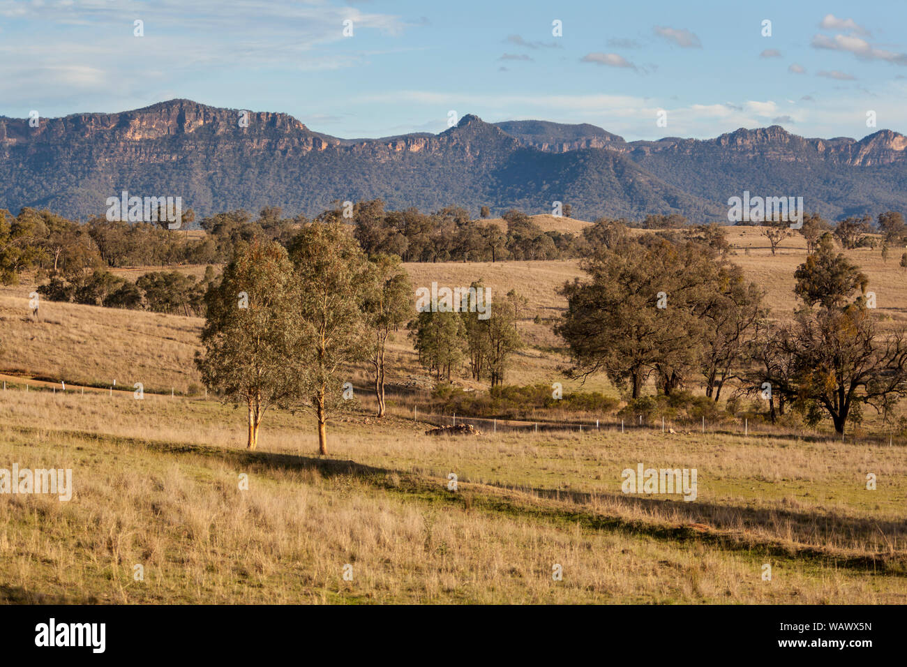 Les plaines herbeuses soutenu par le bush naturel robuste et crêtes de grès dans la vallée Capertee, NSW, Australie Banque D'Images
