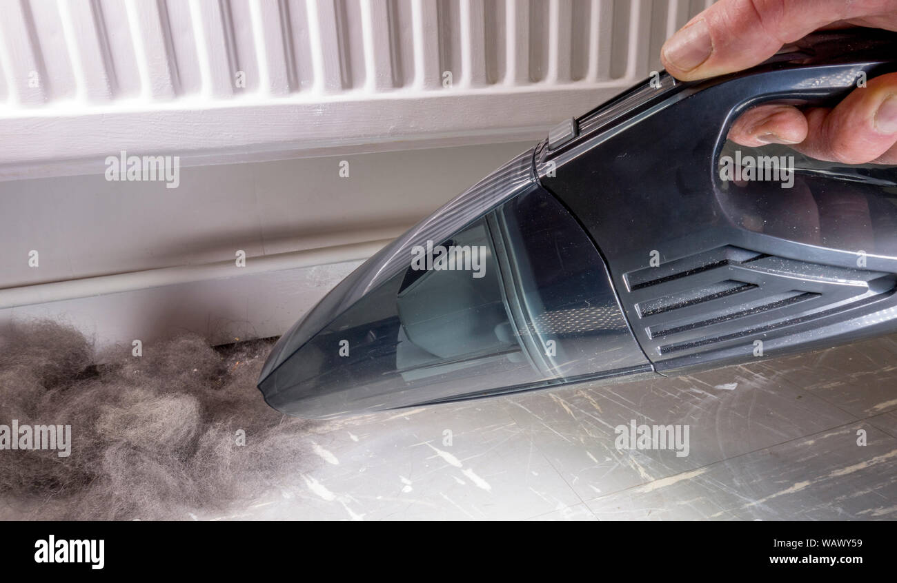 Près de POV la main d'un homme à l'aide d'une poche, alimentation par pile, aspirateur pour aspirer les poils de chien d'un étage. Banque D'Images