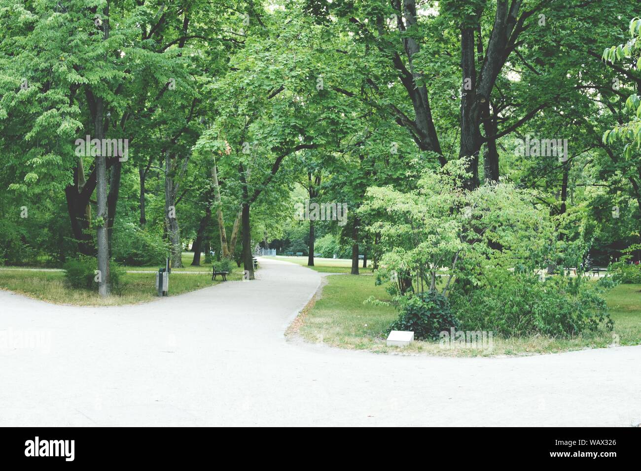 Deux chemins dans le parc. Banque D'Images