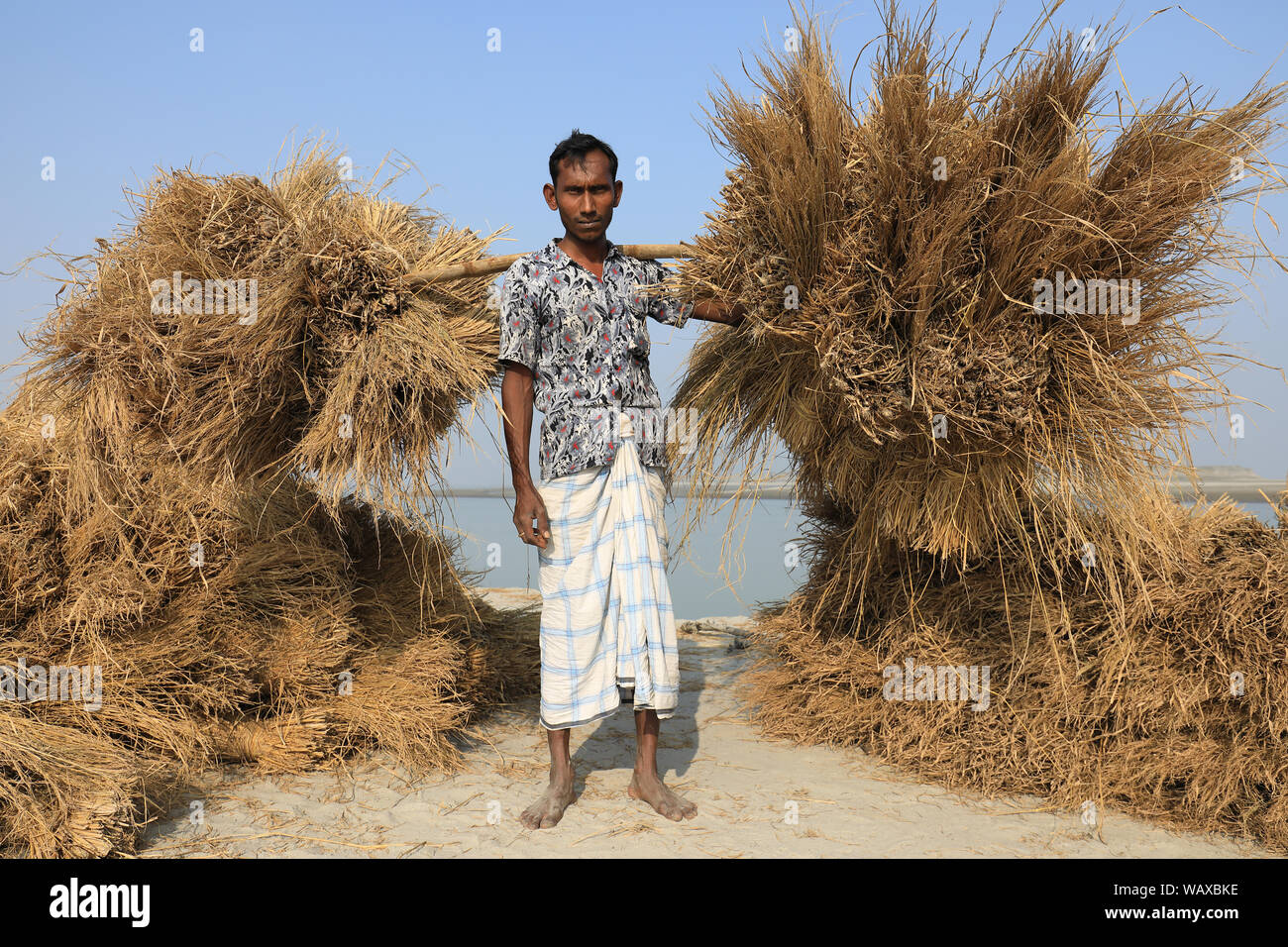 L'agriculteur de chars les gens sur la berge de la Rivière Jamuna à Bogra, Bangladesh Banque D'Images