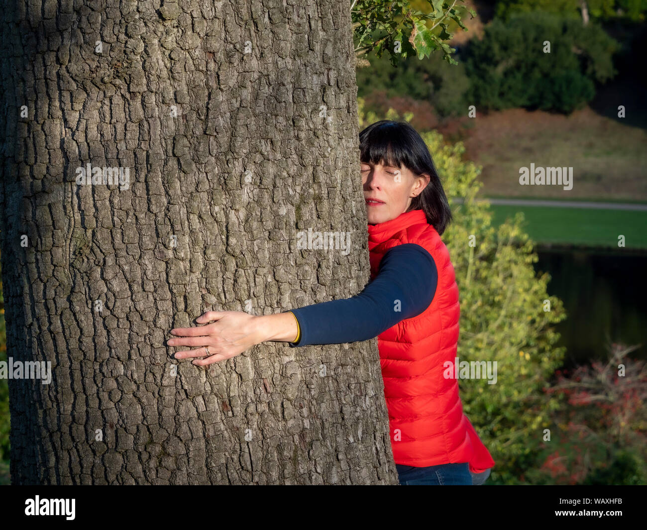 Femme en rouge gilet hugging large tronc de l'arbre Banque D'Images