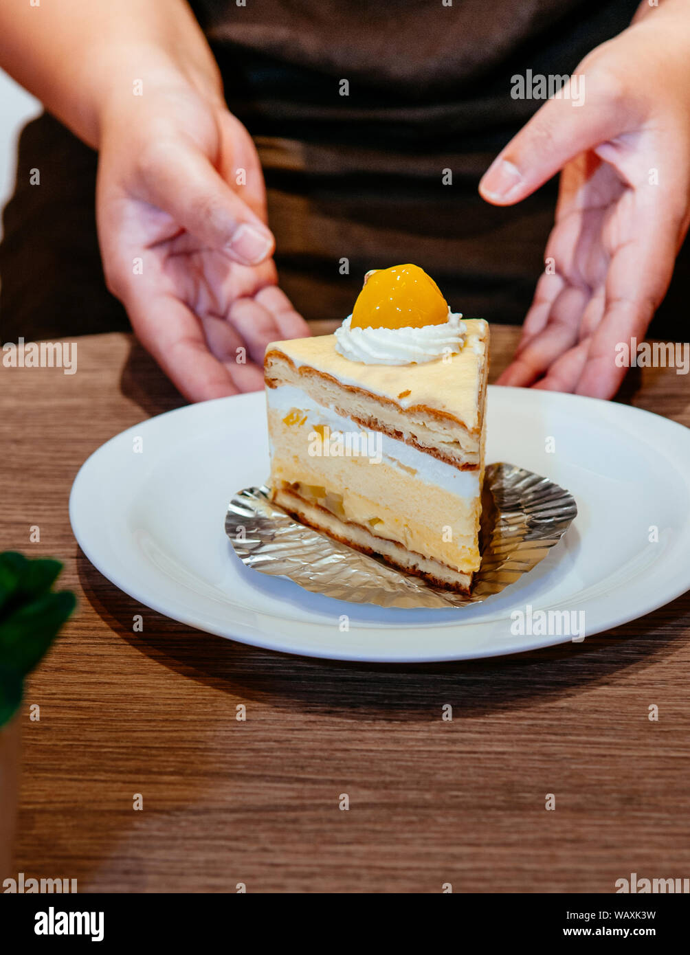 Style Asiatique Couches Moelleuses A La Creme De Patisserie Gateau A La Mangue Mangue Fraiche On White Plate Photo Stock Alamy Style Asiatique Couches Moelleuses A La Creme De Patisserie Gateau A La Mangue Mangue Fraiche On White Plate Photo Stock Alamy