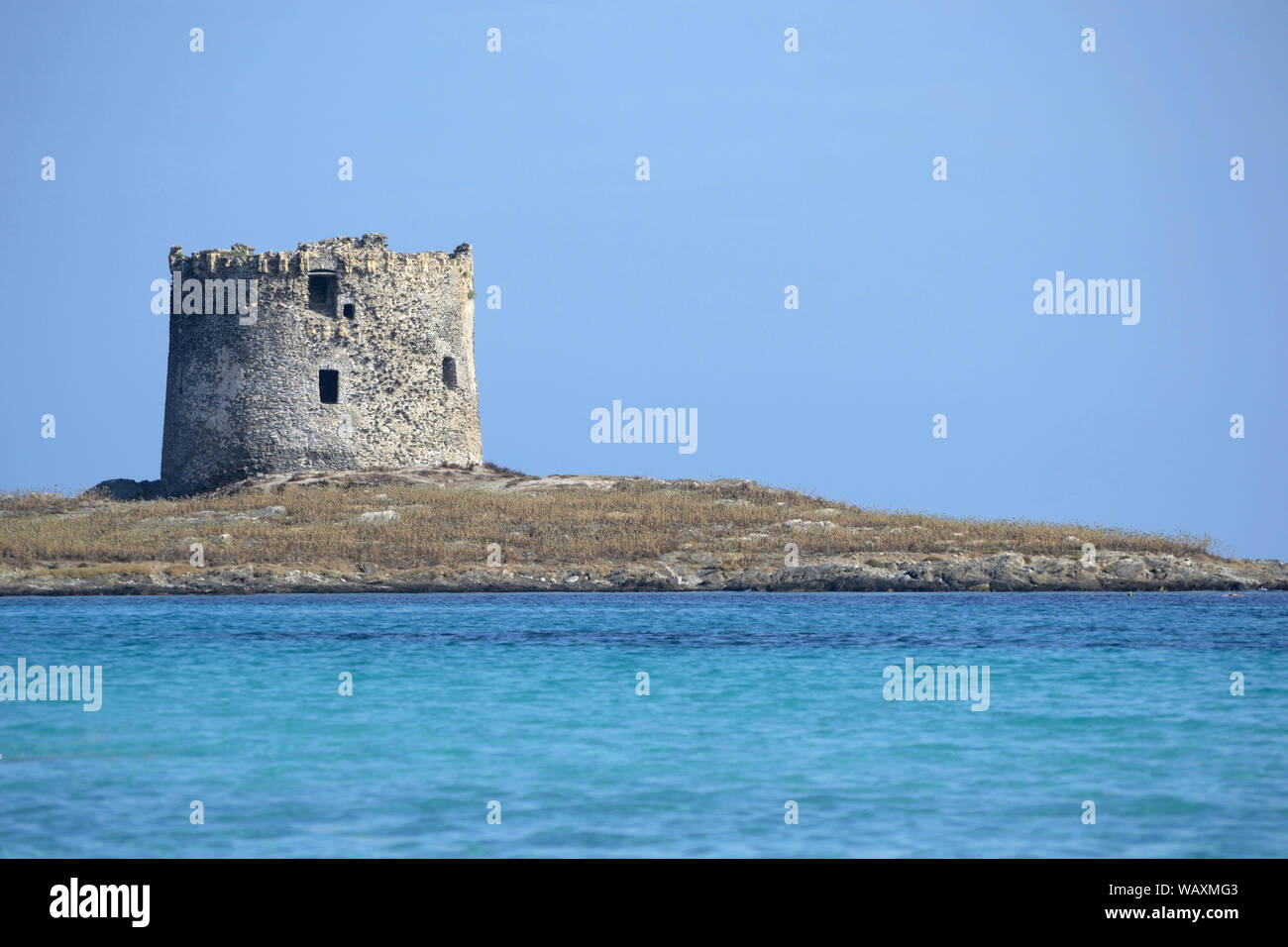 Torre della Pelosa, situé sur un îlot entre l'Isola Piana et Capo Falcone dans le nord de la Sardaigne, près de Stintino Banque D'Images