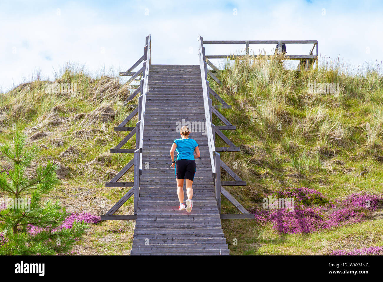 La formation sur un escalier Banque D'Images