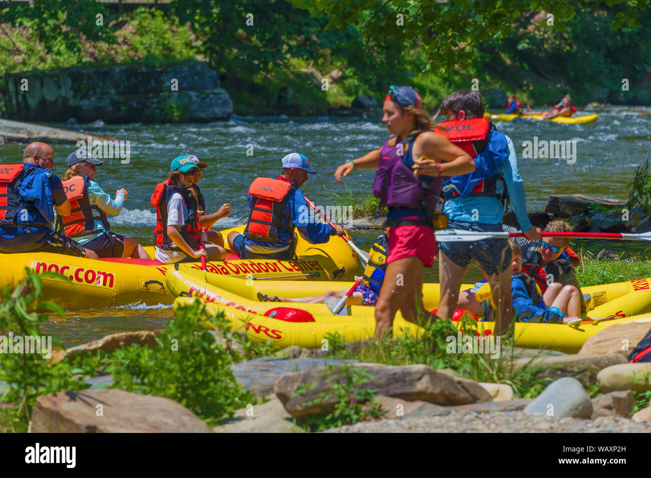 Durham, Caroline du Nord, USA - 3 août 2019 : les chevrons le long de la berge de la rivière Nantahala au Centre de plein air de Nantahala. Banque D'Images