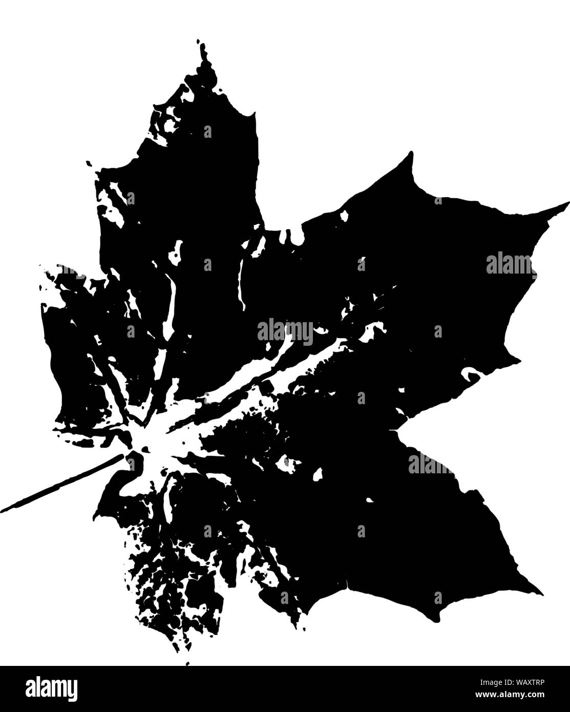 Vector couleur érable feuille impression en noir sur fond blanc. Illustration de Vecteur