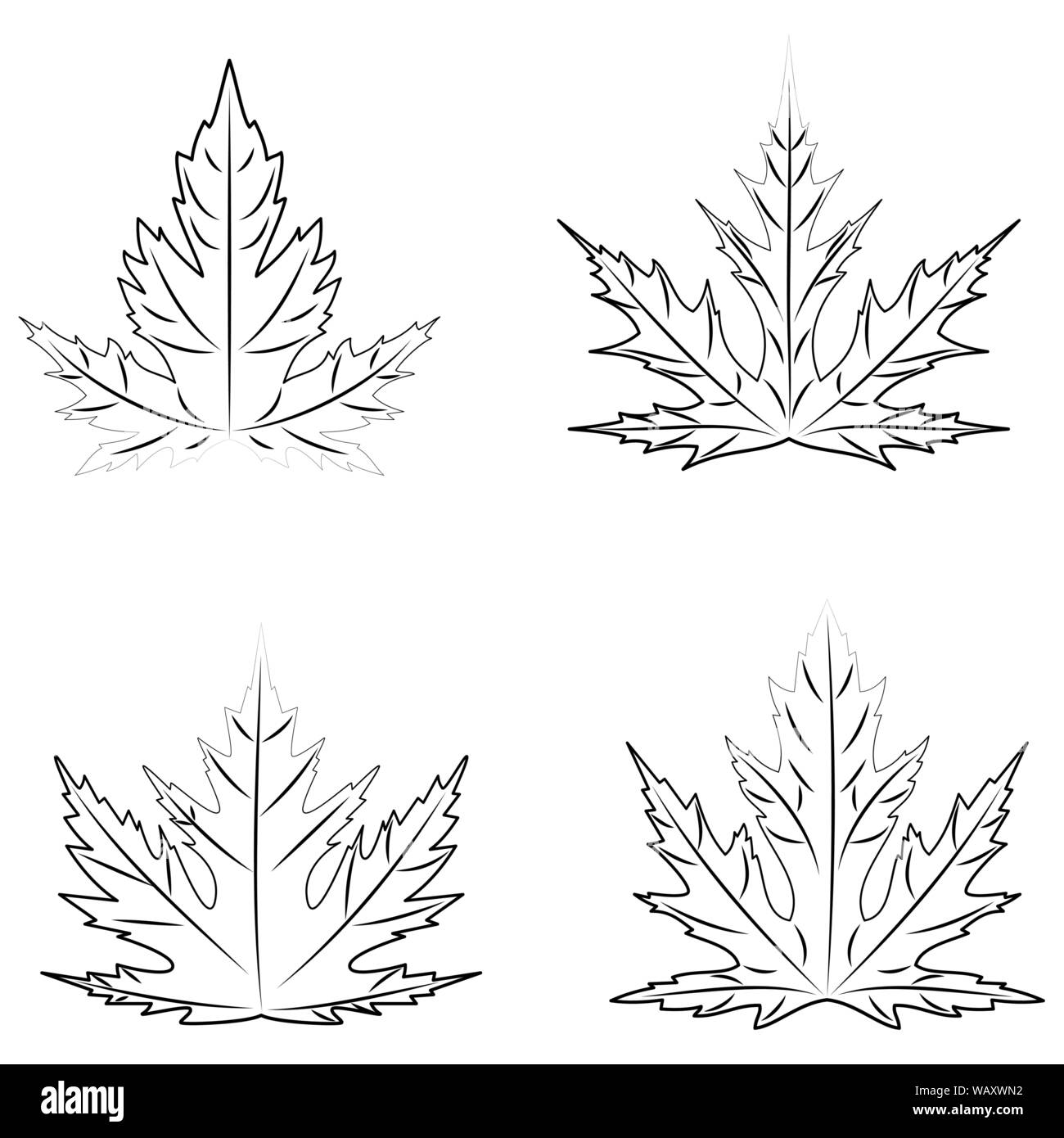 Aperçu de l'automne les feuilles d'érable argenté sur fond blanc. Illustration de Vecteur