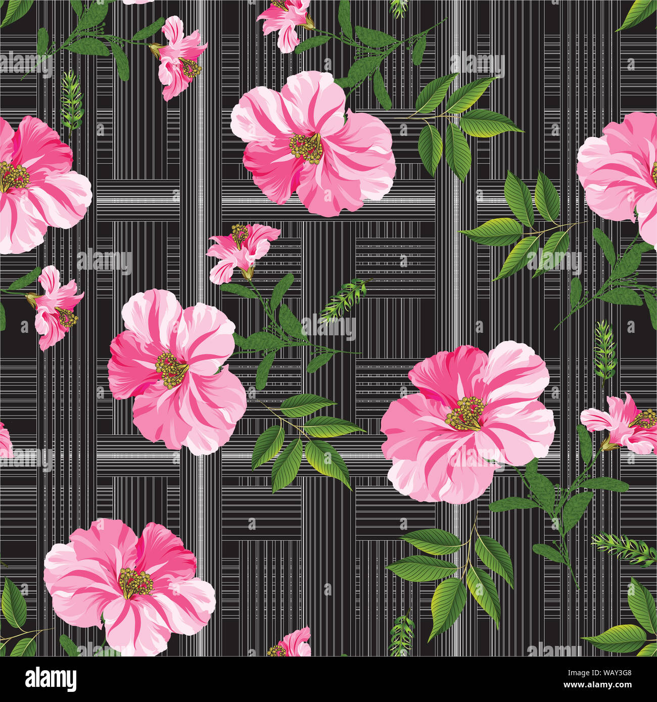 Motif transparent fleur d'hibiscus vector hand draw design black Banque D'Images