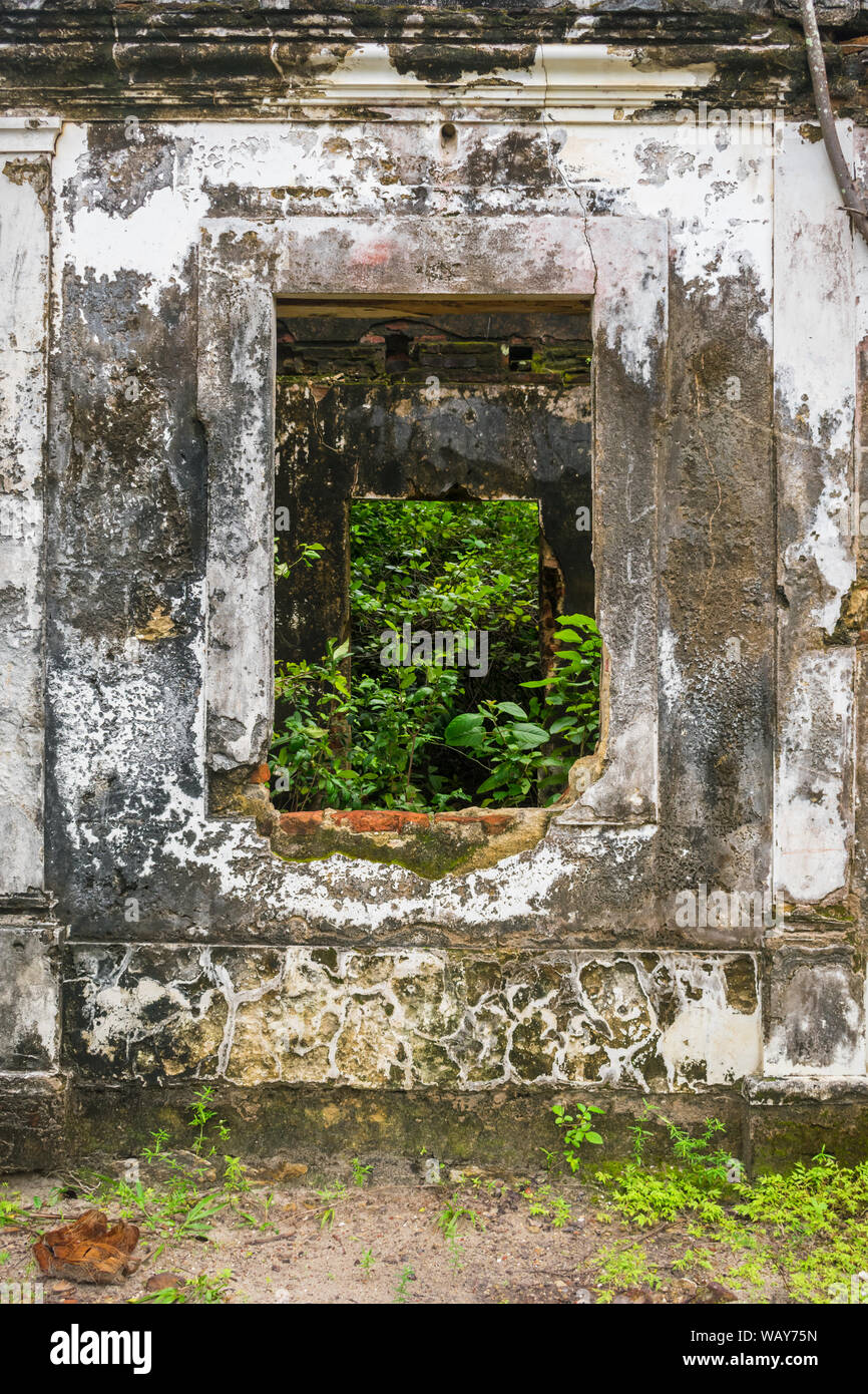 Ruines de la maison de père Tenorio - bâtiment historique du XIX siècle complètement abandonné et repris par la forêt sur Itamaraca île, Brésil Banque D'Images