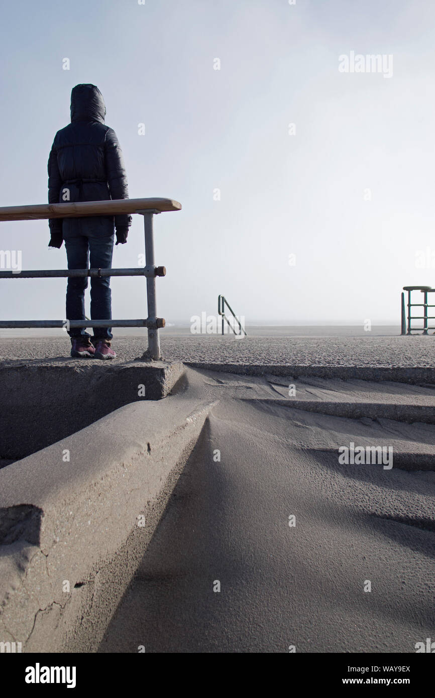 Vue arrière du phoque à capuchon personne debout sur la plage vide Banque D'Images