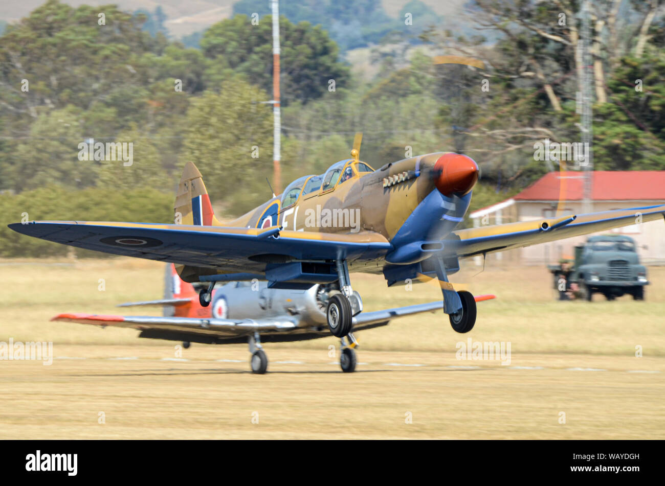 Une seconde guerre mondiale RAF Supermarine Spitfire décollant avec T-6 à Harvard les ailes sur l'aérodrome de la hotte à l'Airshow Wairarapa, Masterton, Nouvelle-Zélande Banque D'Images