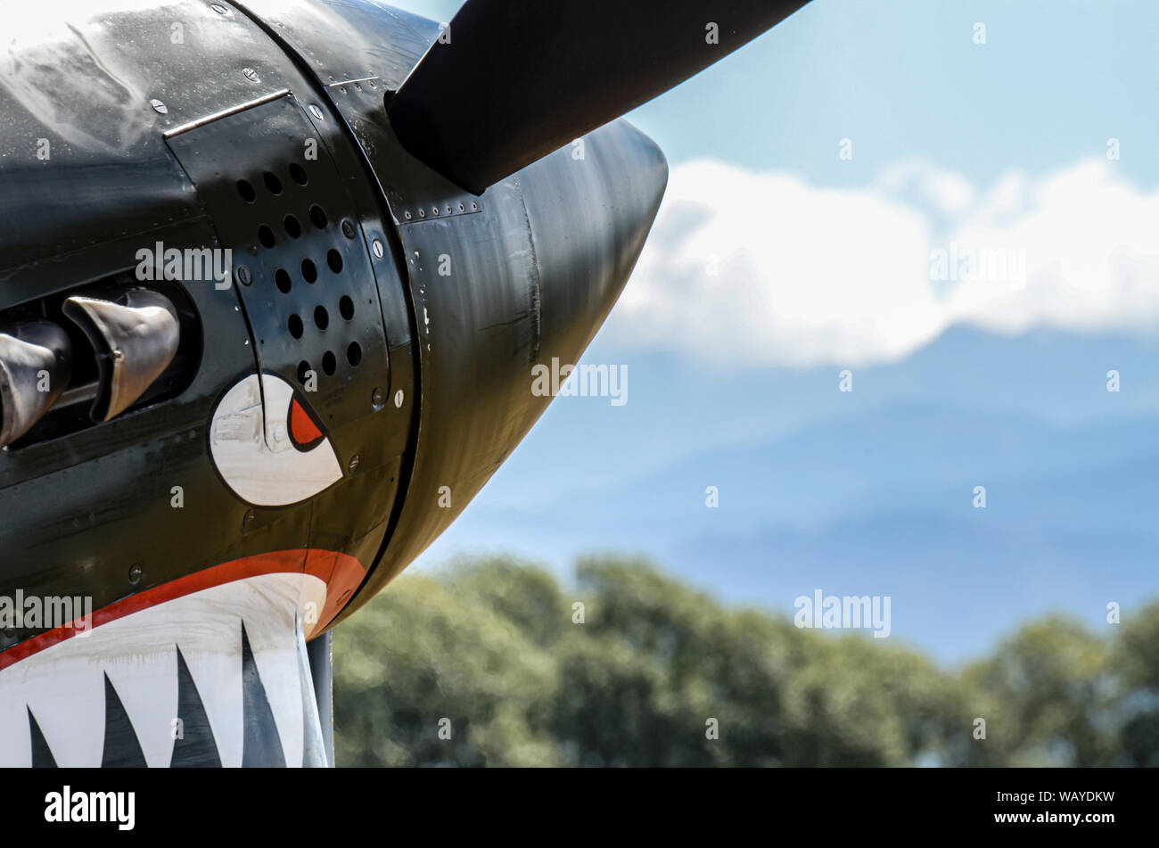 Curtiss P-40 Warhawk à ailes au-dessus de l'Aérodrome de capot, airshow Wairarapa, Masterton, Nouvelle-Zélande. Le nez avec les dents de la bouche du requin et de l'oeuvre de l'œil. Nose art Banque D'Images