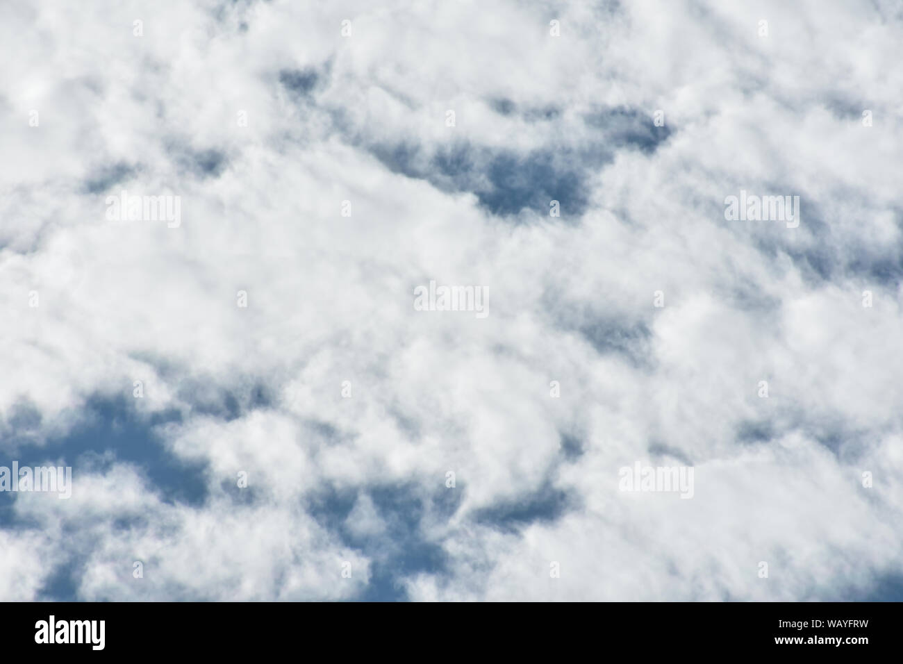 Les nuages blancs épais avec des parcelles de ciel bleu. Banque D'Images