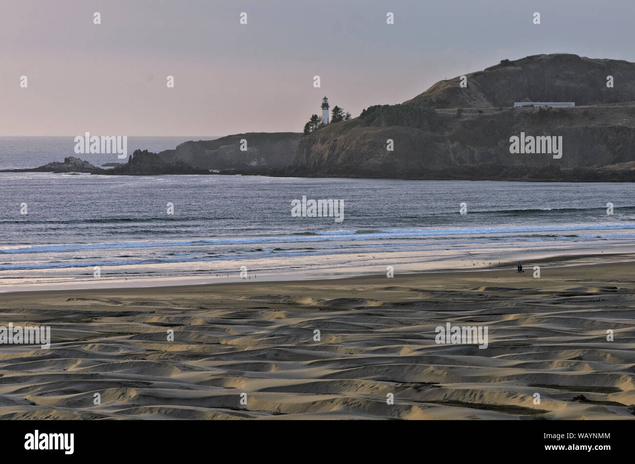 Yachina Head Lighthouse se trouve sur les falaises de Yachina Head à Newport, Oregon. Il est administré par le Bureau of Land Management (BLM). Banque D'Images